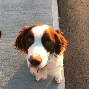 Meet your Posher, Michelle